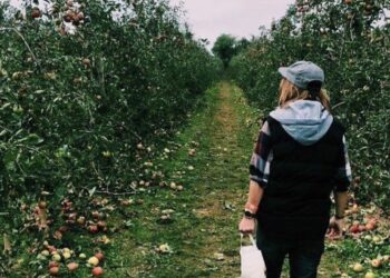 Entrepreneur Jimmy Geib has some advice for aspiring startup founders