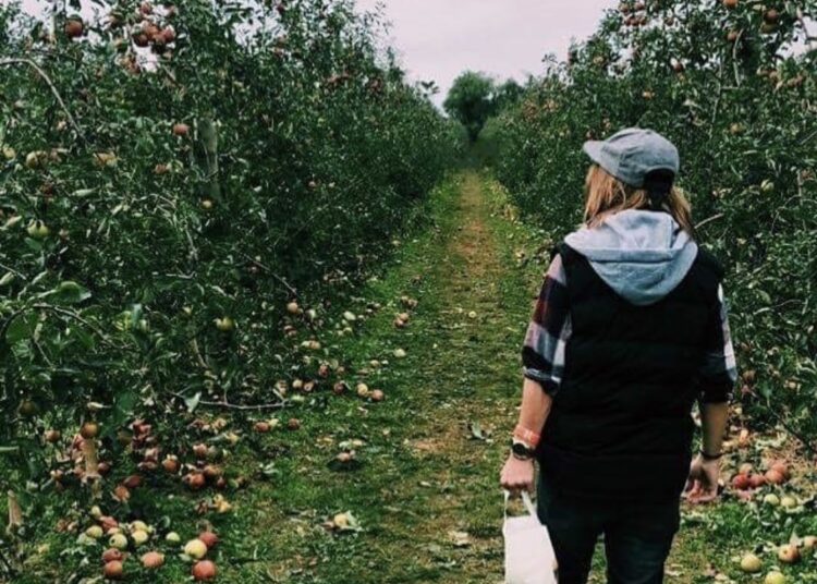 Entrepreneur Jimmy Geib has some advice for aspiring startup founders