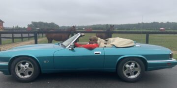 Big Head Bandz is the new reflection of Millennial American Hustle infused with Hip-Hop DNA