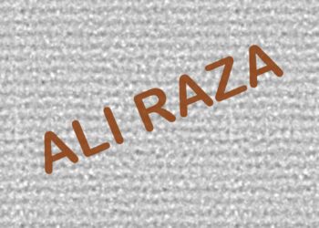 A Youngest Entrepreneur and Digital Marketer: Ali Raza