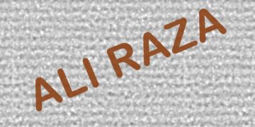 A Youngest Entrepreneur and Digital Marketer: Ali Raza