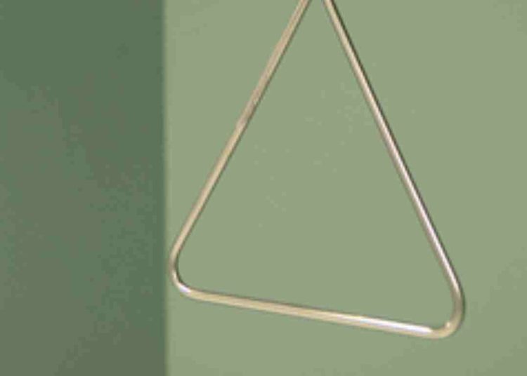 5 Things That Celebrities Follow When Showering